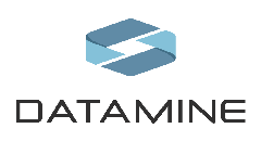Datamine New Logo